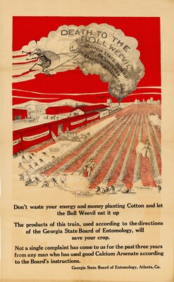 Georgia Entomology Board: death to the boll weevil [1936]