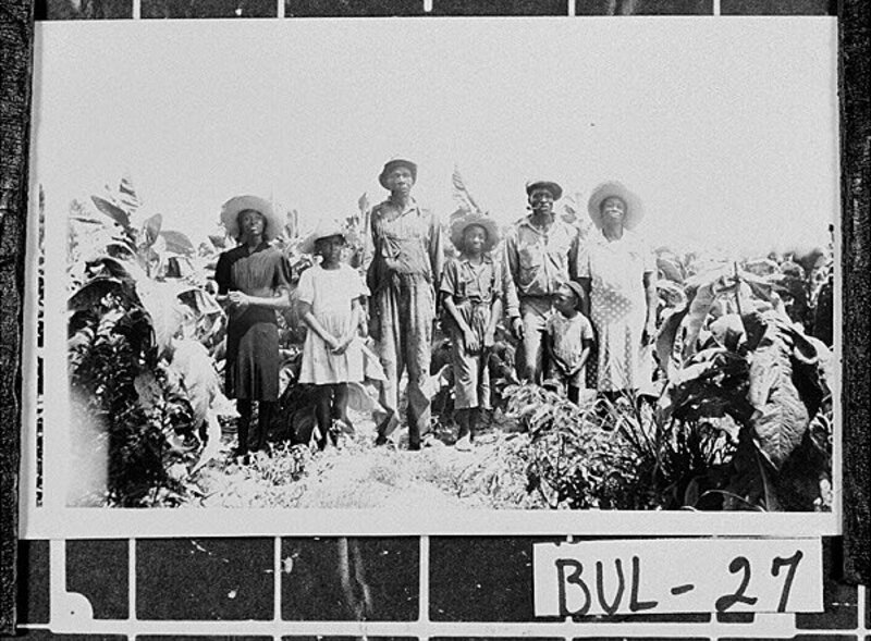 [Photograph of tenant farmers on the farm of Carol Hodges, Bulloch County, Georgia, 1949]