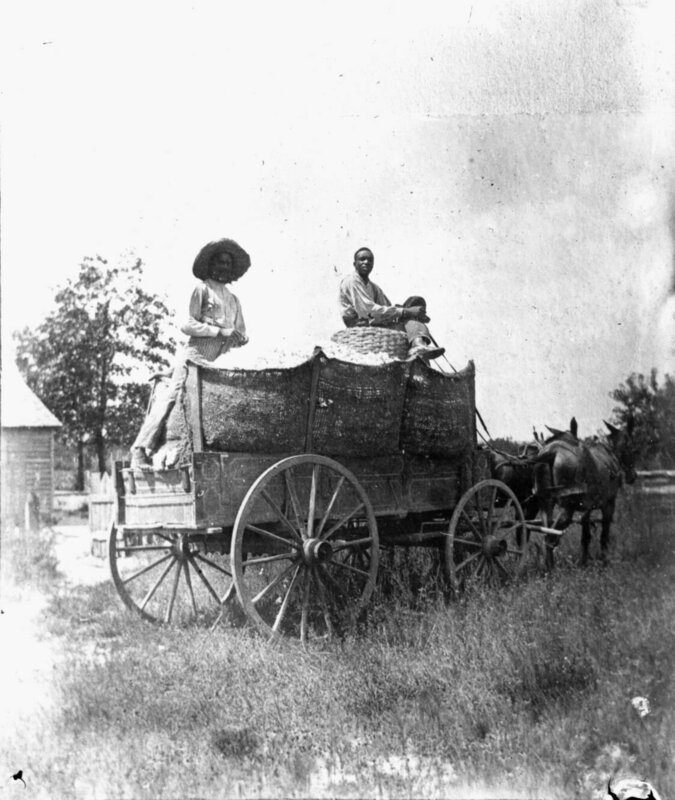 [Photograph of two African American men on a mule-driven cotton wagon in or near Richmond County, Georgia, late 19th century]||Men on wagon with cotton