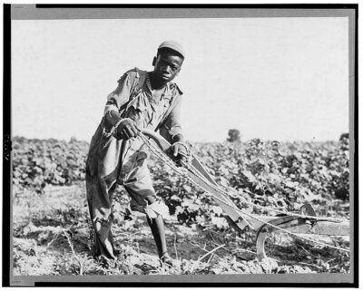 Thirteen-year old sharecropper boy near Americus, Georgia