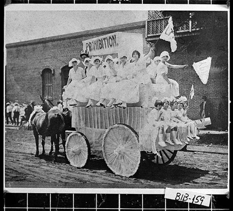 [Photograph of a horse-drawn wagon in parade supporting prohibition, Hawkinsville, Pulaski County, Georgia, 1915]
